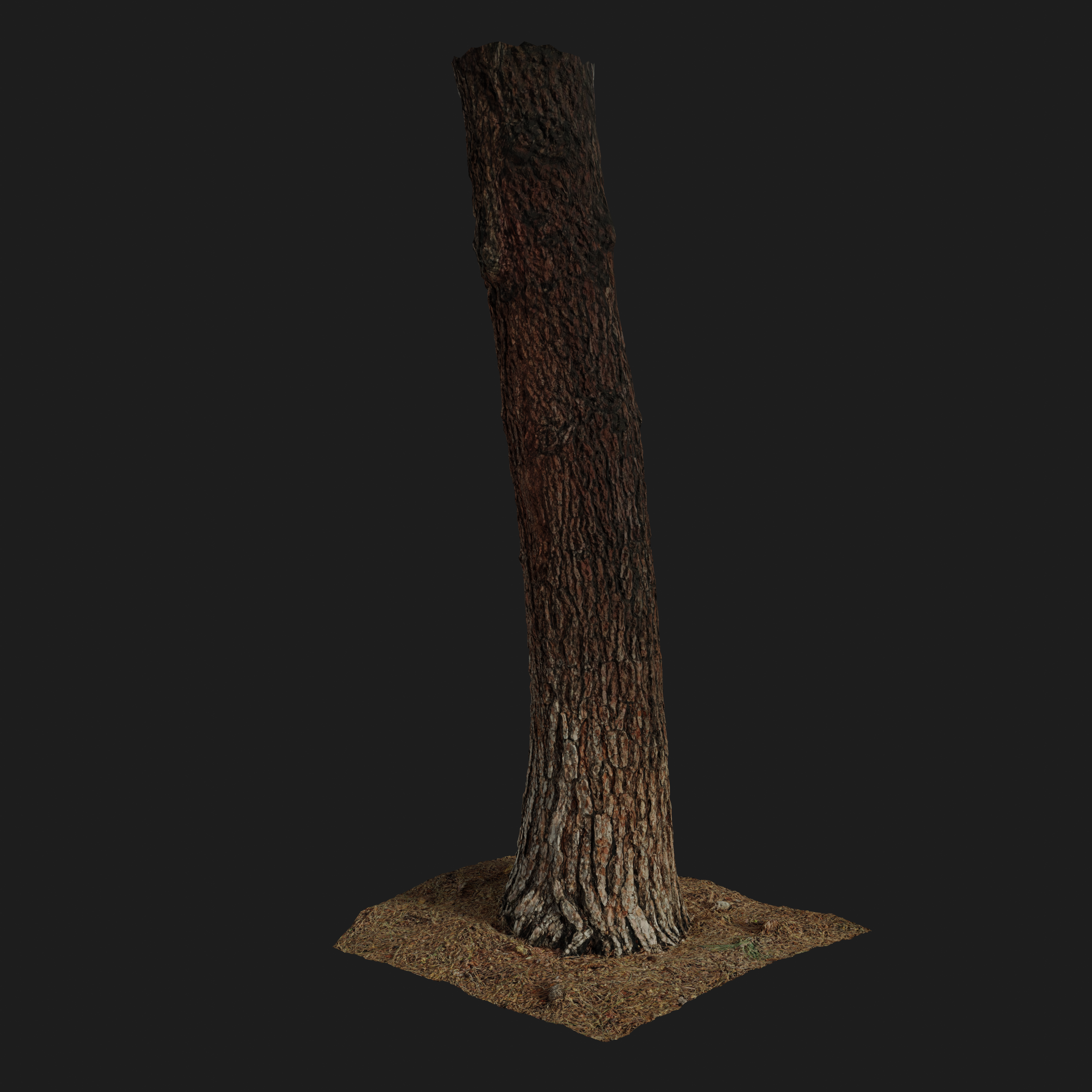 tree base preview image 1